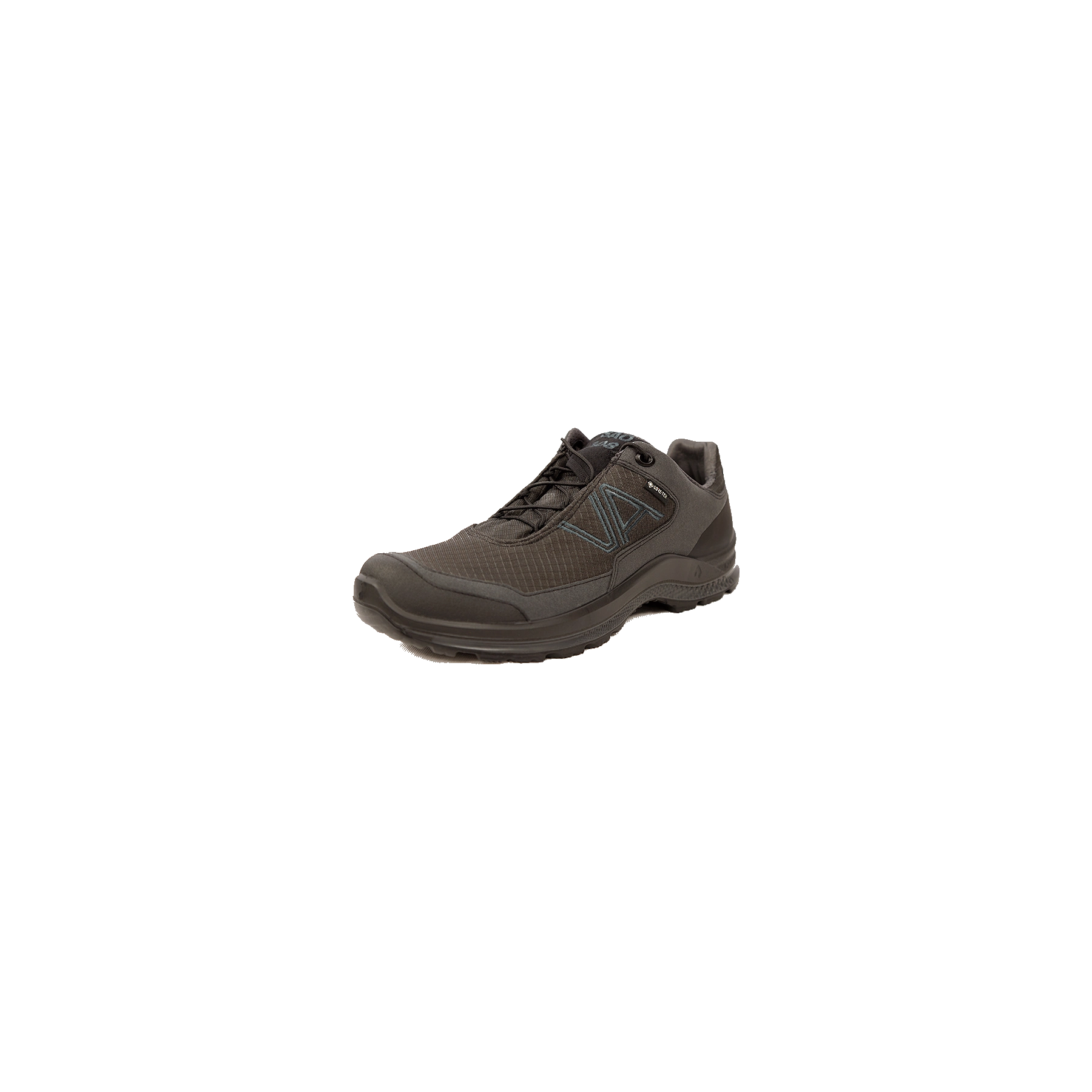 Ботинки Intensity GTX N W Low